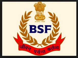 BSF Recruitment 2017 